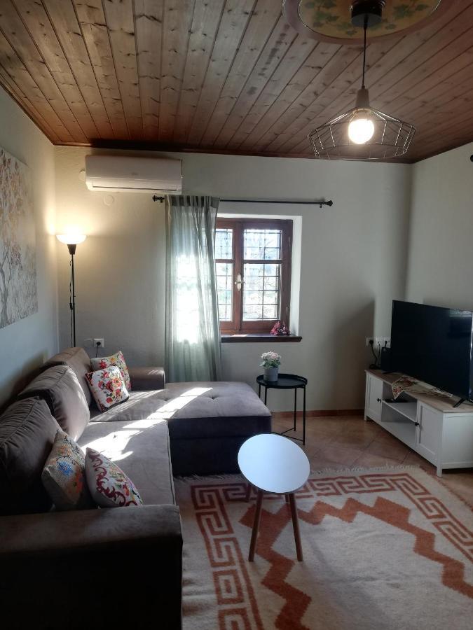 Endless View Country House Makrinitsa Exterior photo