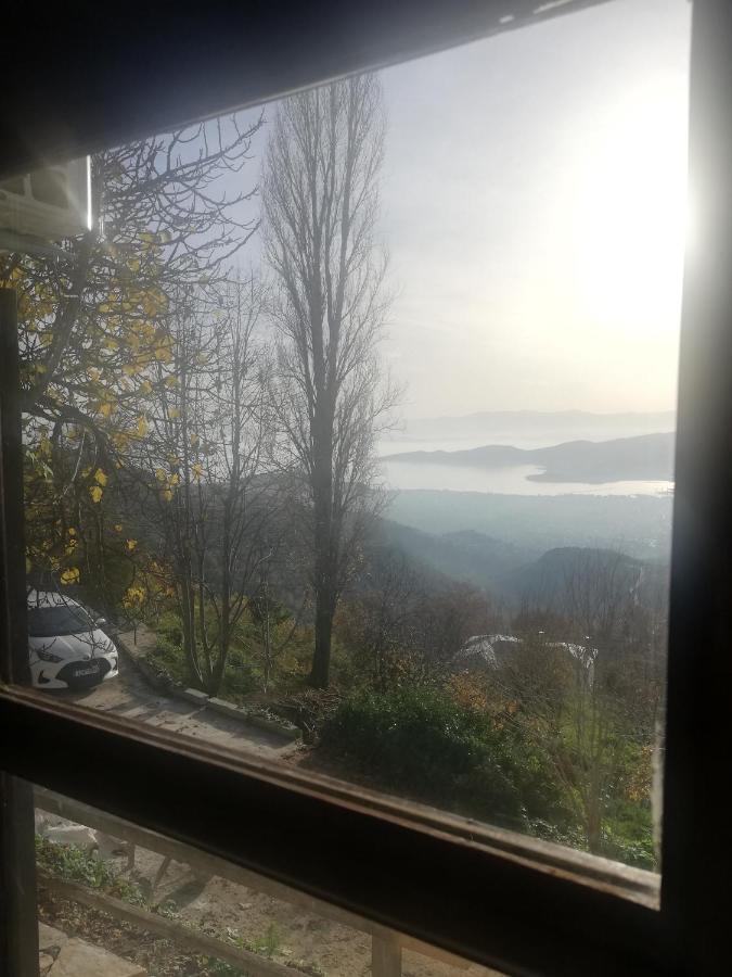Endless View Country House Makrinitsa Exterior photo